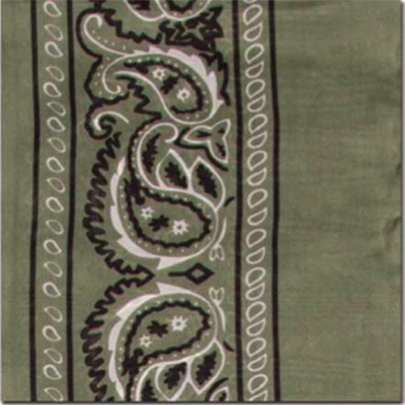 Wyoming Traders Wild Rag 100% Silk Bandana Western Scarf 34.5" - SAGE - Picture 2 of 2